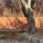 Rez De Jardin De 耶尔