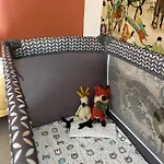 Rez De Jardin De Apartman