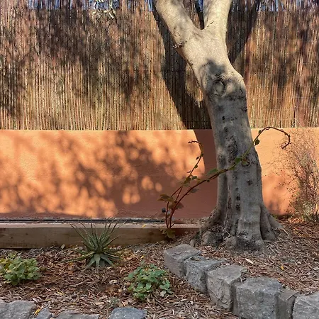 Rez De Jardin De Hyères