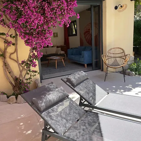 Rez De Jardin De Apartman