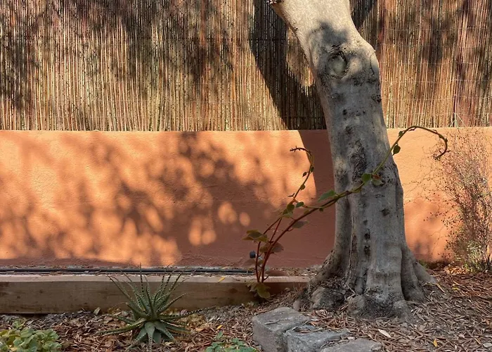 Rez De Jardin De Hyeres